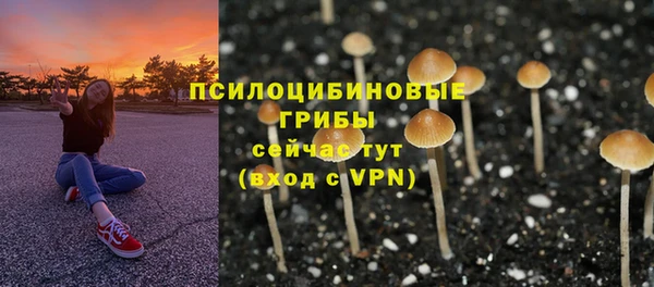 гидра Михайлов