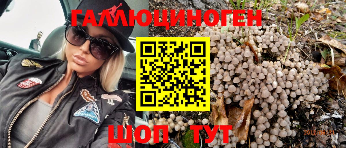 Псилоцибиновые грибы Psilocybe  Вход с VPN  Фролово  Псилоцибиновые грибы прущие грибы 