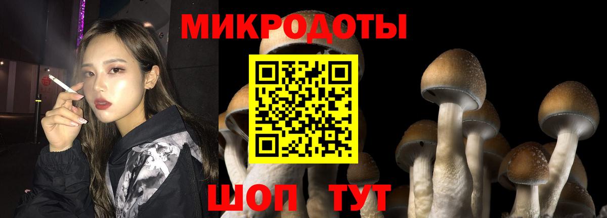 Галлюциногенные грибы Psilocybine cubensis Фролово