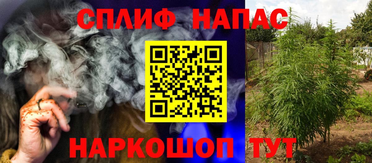 Канабис SATIVA & INDICA  Вход с VPN  Марихуана планчик  Фролово  Бошки марихуана THC 21% 